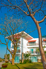 Royal Decamer&oacute;n Bar&uacute;